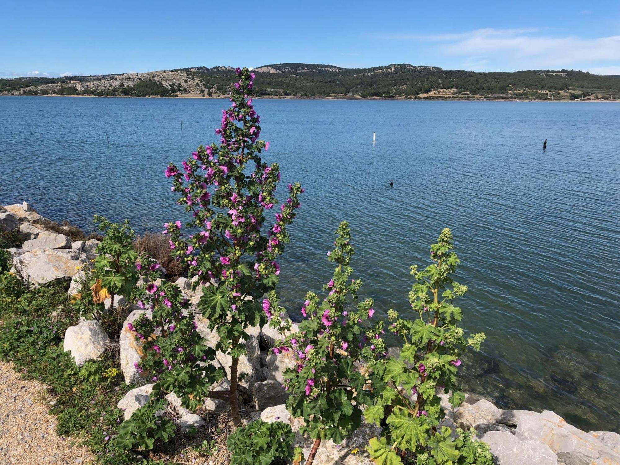 Gruissan Appartement Calme, Vue Sur Port De Plaisance -Clim, Empl.Parking Екстериор снимка