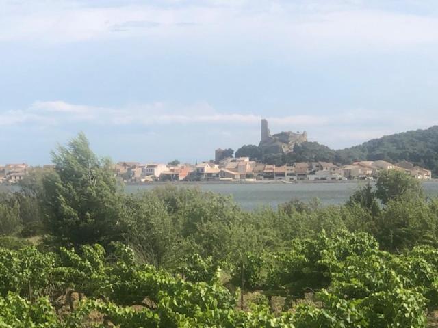 Gruissan Appartement Calme, Vue Sur Port De Plaisance -Clim, Empl.Parking Екстериор снимка